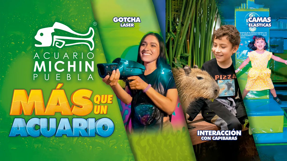 MichinPuebla's tweet photo. ¡Explora nuevos mares con tu #AccesoTotal! 👀🌊 Embarca esta gran aventura y conoce a más de 20 mil ejemplares ⛵.Descubre la granja, juega y pasa un rato de diversión en #MichinExtremo🔫 , ¿Qué esperas para comenzar tu viaje en este lugar que es #MásQueUnAcuario? 💙🐟 https://t.co/bmi0hp7ROB