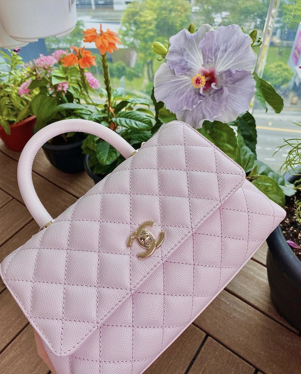 bottegalolita's tweet photo. Chanel baby pink bag https://t.co/MSL80NgWoO