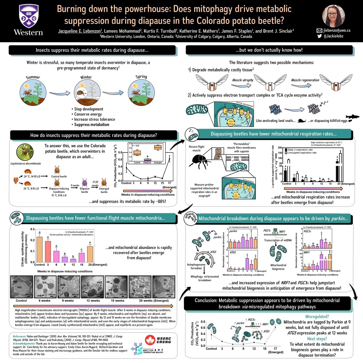 Dr. Jackie Lebenzon tweet media