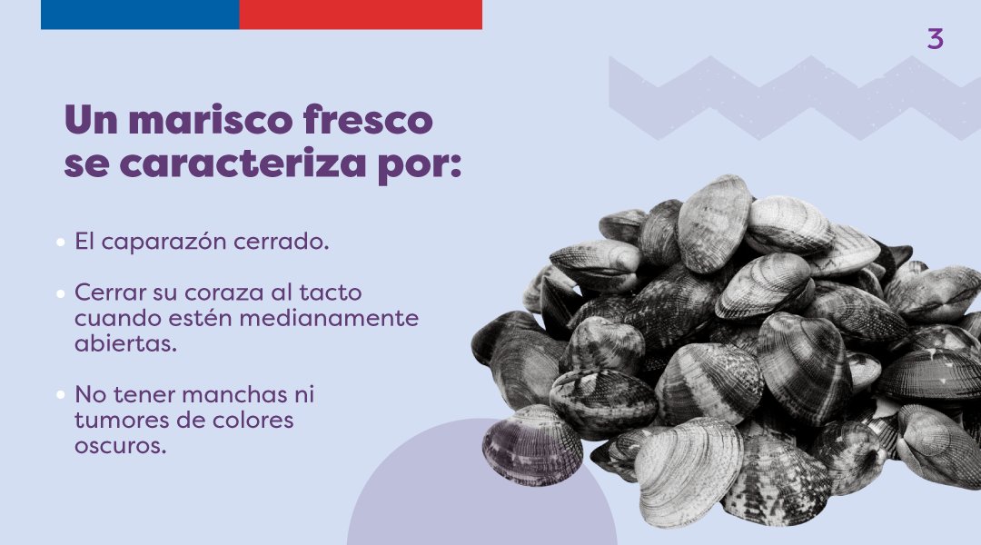 GobiernodeChile's tweet photo. ¿Cuál es tu menú de #SemanaSanta? 👀 De seguro tienes en mente un rico pescado con mariscos 🐟🦐 Pero, ¿sabes cómo elegirlos? 🙀
Para evitar intoxicaciones alimentarias, aprende a reconocer cuáles están frescos 👇 https://t.co/zfjZFCnjXo