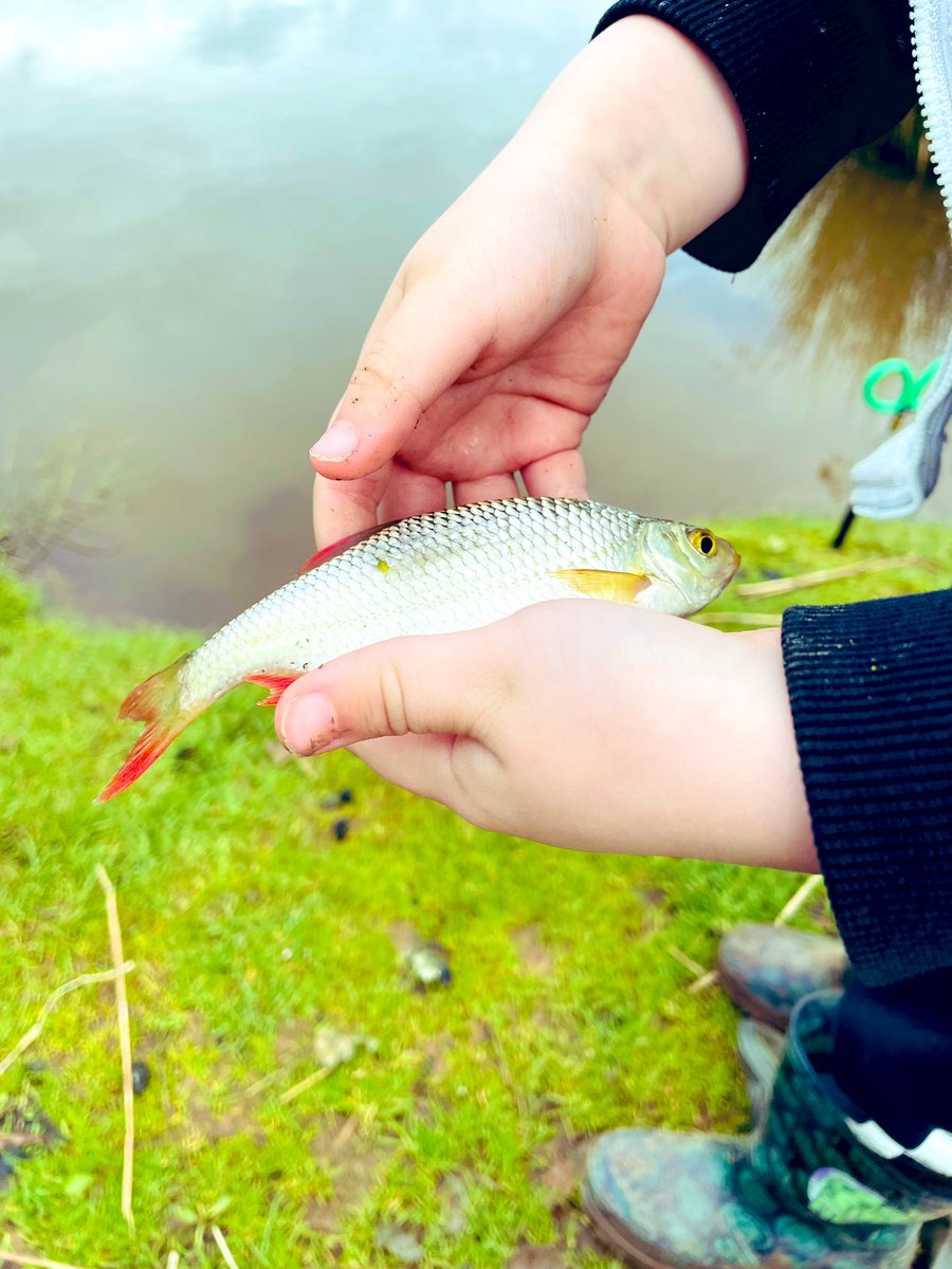 pete_caine's tweet photo. The boys are finally back on the bank 😎🎣🎣 #fishing #familyfishing #forestofdean https://t.co/p7zarLlmFz