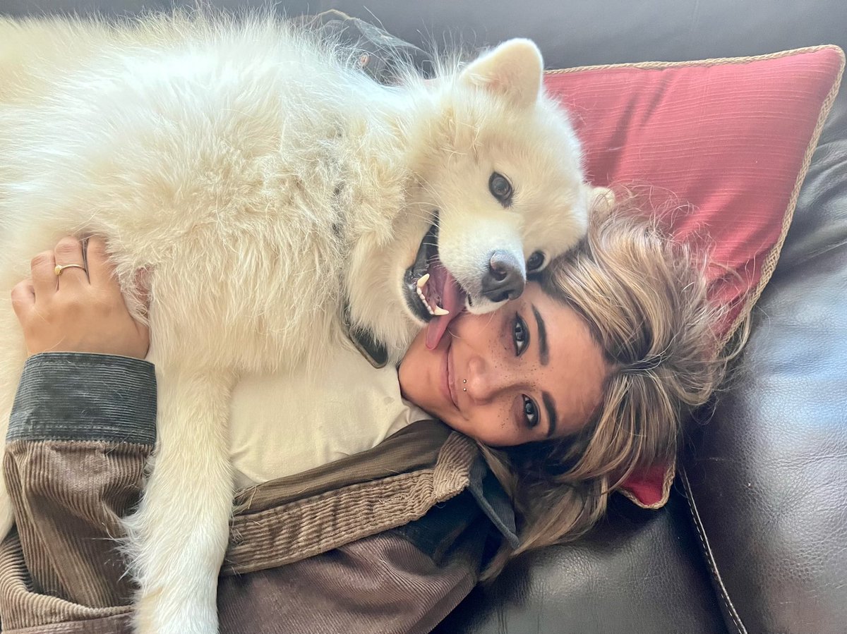 libbylaur's tweet photo. @JamesMarriottYT james i am very influential only to myself and sometimes others and i wanted share my dog, grom, with you https://t.co/rlkEfvNABB