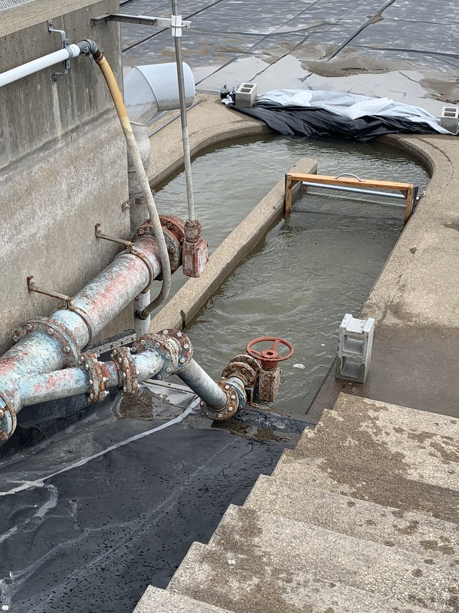 MJWeberLab's tweet photo. All done with our spring #walleye lab experiment! Time to crunch some numbers and use our results to improve fishing opportunities in #Iowa !
#FishIowa https://t.co/ZgS5K3uLVB