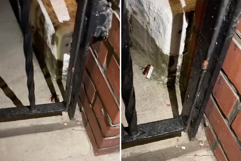 'Smoking Roach' snuffs out 'Pizza Rat' as NYC's grossest vermin trib.al/b8gR1wg