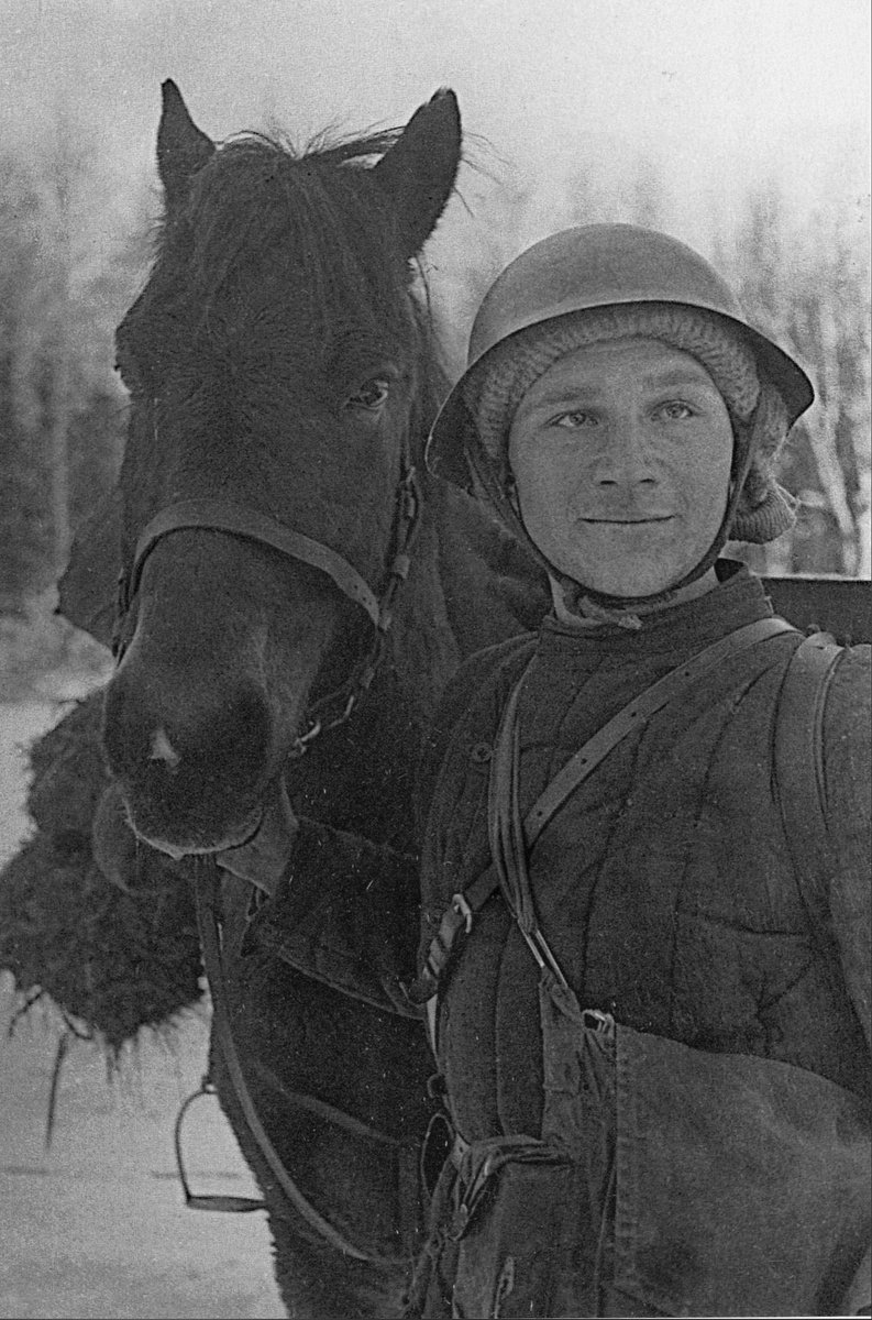 Конный разведчик П.К. Кирейчиков на Карельском перешейке. 1939 год. Перейдя границу одним из первых П.К. Кирейчиков обнаружил на подступах к дороге минное поле и предотвратил гибель своих товарищей.