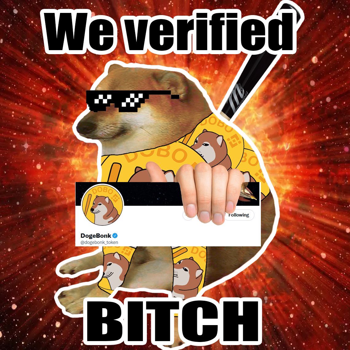 SomeCrypt0Guy's tweet photo. @amphlux @iamstevencooper If you’re gonna pick a memecoin, pick a verified coin with dank memes that is aiming to financialize bonking https://t.co/4yjD3gjX5L