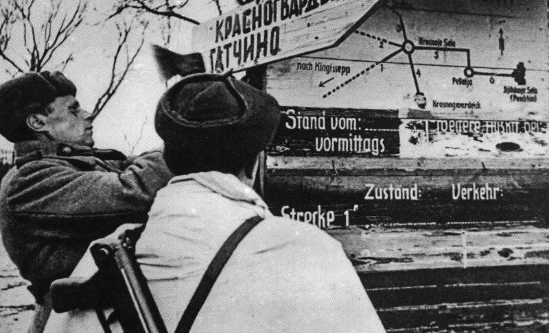 Советский солдат прибивает дорожный указатель в одном из освобожденных населенных пунктов Ленинградской области.