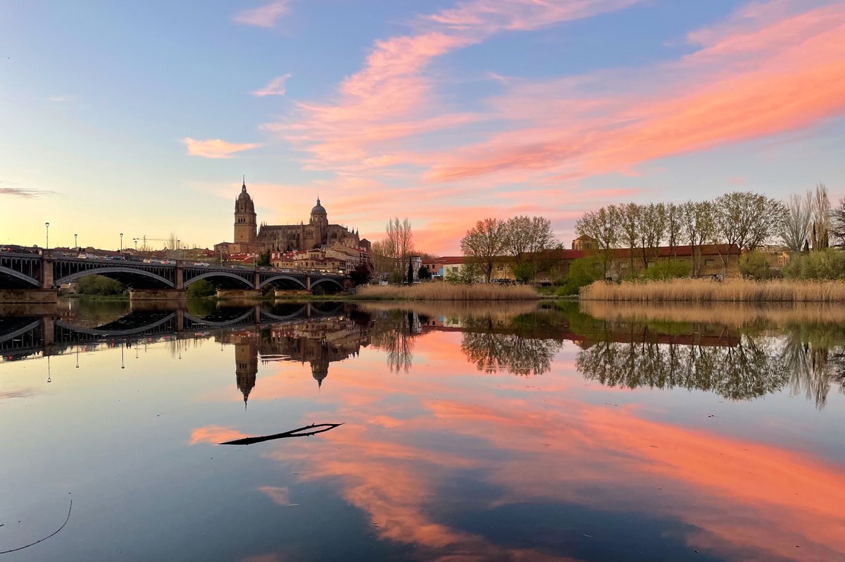 Lau (@lauralvarezal) on Twitter photo 