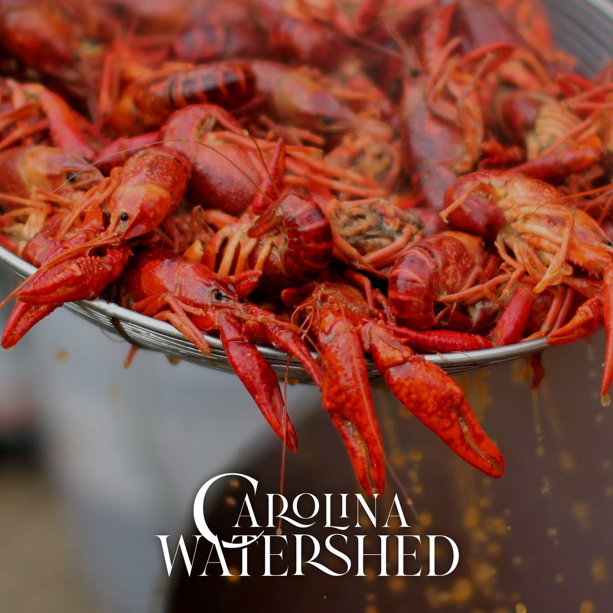 Bluff City Blues Crawfish Festival + After Party
Sat April 16th 12p - 6p
$10 Admission or $50 All You Can Eat/Drink

Live Jazz: 11-6
DJ Computer of Three 6 Mafia: 6-10
Crawfish All Day till sell-out
141 E Carolina Ave

RSVP loom.ly/Zf52B0I
Tickets tinyurl.com/bluffcityblues