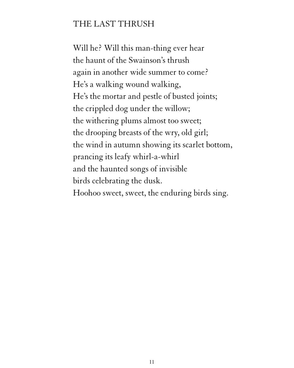 ExileSocial's tweet photo. One final excerpt from award-winning poet Brian Brett’s newest collection. Give it a read!

Full release April 15th 

#poetry #writing #publishing #canada #art https://t.co/6MTvPOFCxi