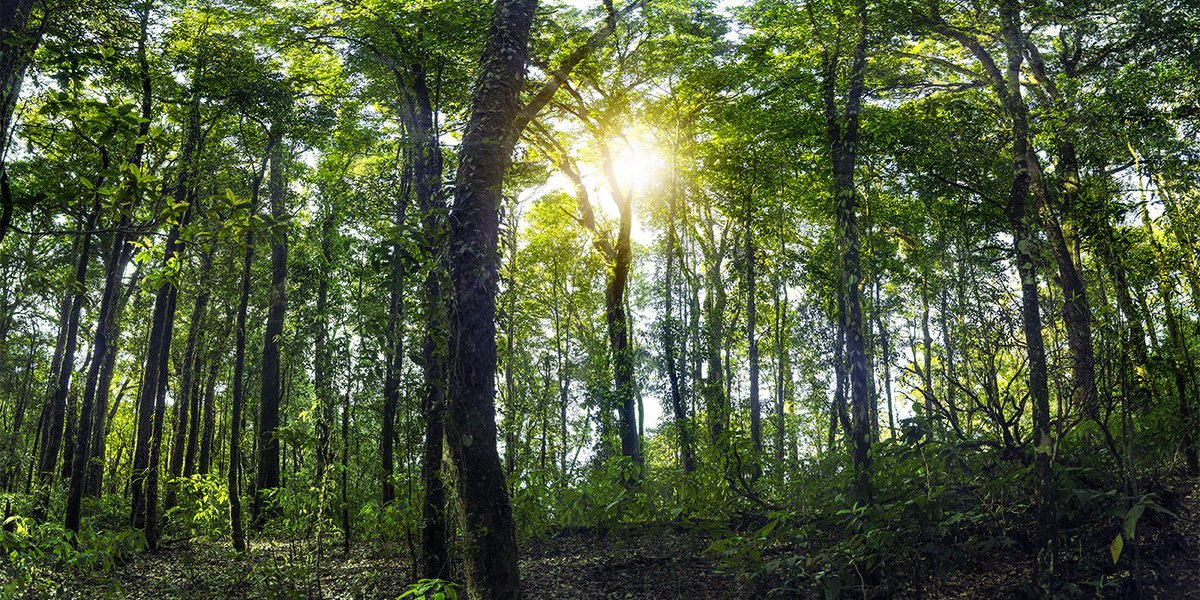 RhinoTLC's tweet photo. RT jmckenny "RT @AprilforOps: As society works towards a carbon neutral future, April sees a month of activities by @BMCSoftware for our inaugural Climate Action Month. Read about our commitment in this new blog and how you can get involved! 

… https://t.co/vy2c2Crv9S"