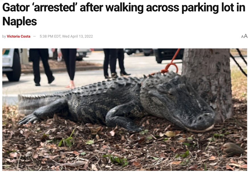 GatorsDaily's tweet photo. We live in a cruel, cruel world https://t.co/PVnBHCDdoz