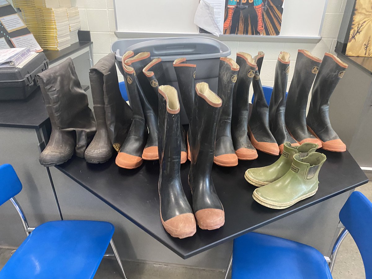 Visual Stream Assessment and Bethic Macroinvertebrate sampling on-campus today! These critters serve as indicator species of water quality and pollution levels. #waterquality #wildlife #indicatorspecies <a href="/10Gadams/">Dr. Garfield Adams</a> <a href="/ORHS_Wildcats/">Oak Ridge HS</a>