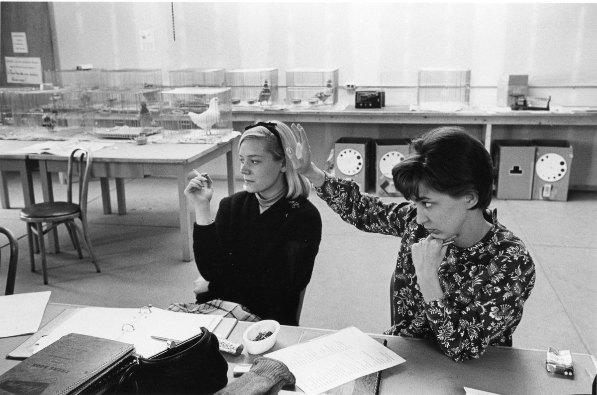 When was the last time you had chickens and a cigarette in class? #tbt #goodbyeCAS