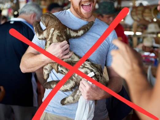 Active4Animals's tweet photo. Did you know? Groupon has no public animal welfare policy. Animals are suffering at tourist attractions featured on the site. Let’s change that. #ScoopOnGroupon #GrouponChat https://t.co/81vjJqJwad