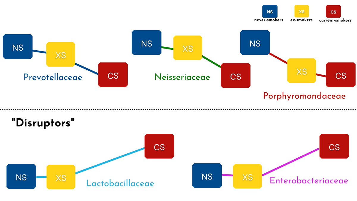 Good news! @mastprogram shows that while the duodenal #microbiome of those who smoke changes, ex-smokers have a microbial pattern more similar to those who never smoked! Our data is published in <a href="/SciReports/">Scientific Reports</a>-rdcu.be/cLkw8
BTW-better just not to smoke, like ever(my PSA!)