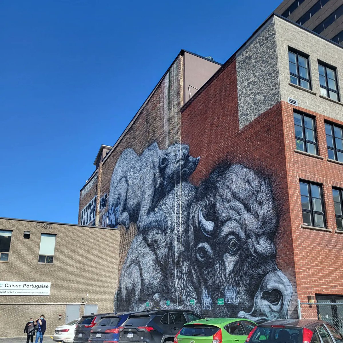 Koopsala1's tweet image. Cet oeuvre #arts #mural #montreal #Canada