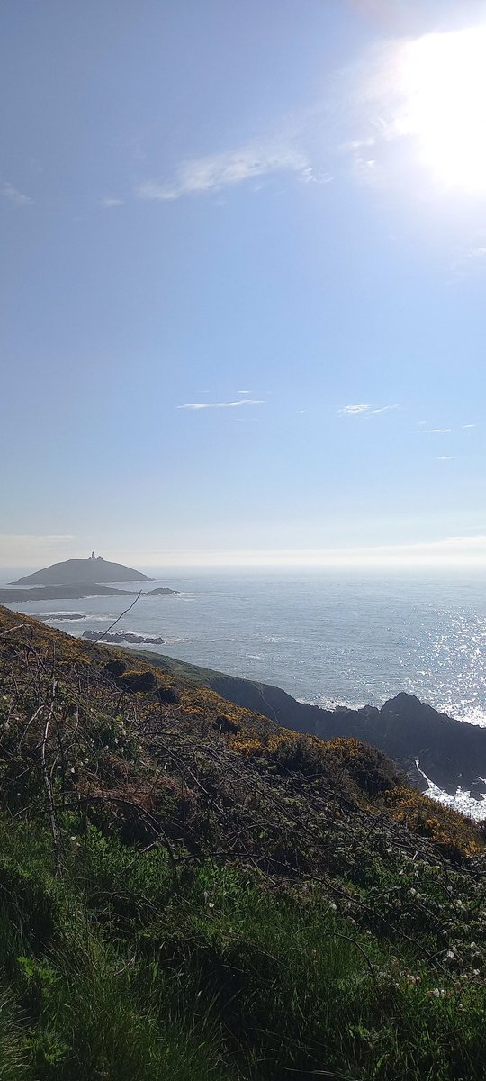 ldphotos81's tweet photo. Stunning day yesterday for a stroll along the cliff walk at Ballycotton, highly recommended!!
@BallycottonIRE @CorkDaily @IrelandDailyPic #visiteastcork #amazingireland https://t.co/G3Gbkb1GA5