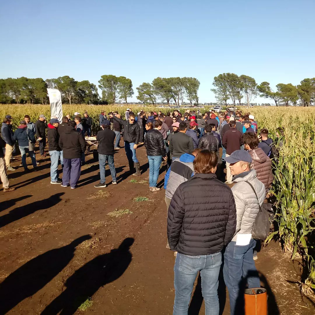 Estuvimos en la jornada "El Maiz es del Sudoeste" presentando las novedades en #Maiz #Enlist y los nuevos #Hiperprecoces en planteos de #Primicia #Tardía y 2da #DonCaldeSRL . Gracias <a href="/gustavothiessen/">Gustavothiessen</a> por el espacio 🌽💪