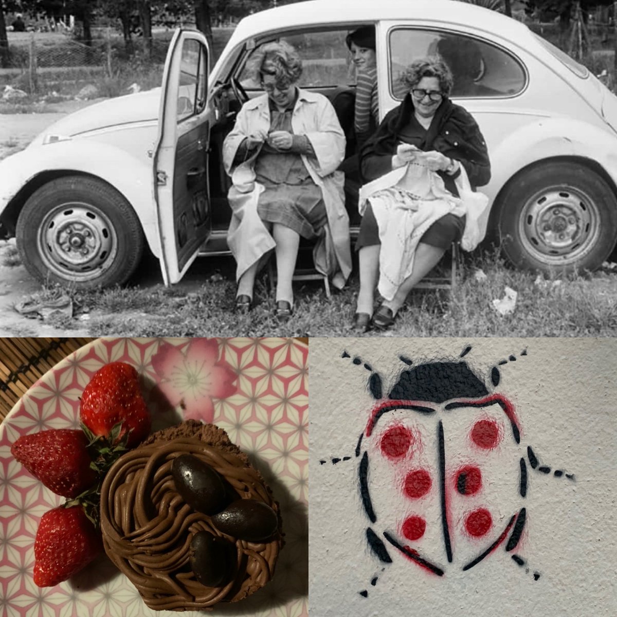 asandra_pon's tweet photo. #hommages #letiziabattaglia #giannirodari  #coccinelle #beetle #easternest #eggs #red&amp;black https://t.co/LF8KSCsQuM