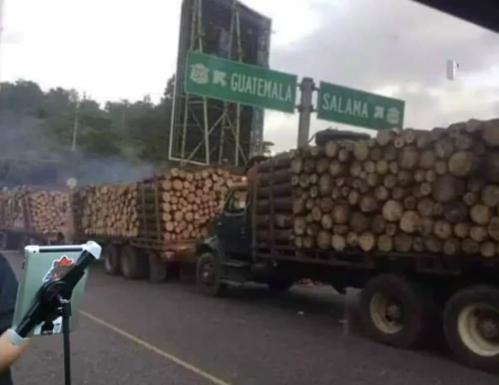 pbperito's tweet photo. Por qué están mandando toda la madera que han cortado de la Selva Maya a Guatemala? Alguien está haciendo negocios jugosos con la venia de @lopezobrador_ no deberías estar trabajando en esto @PabloGomez1968 ? En lugar de estar perdiendo el tiempo con amenazas? 
👇🏻 https://t.co/EATh0kMdP1