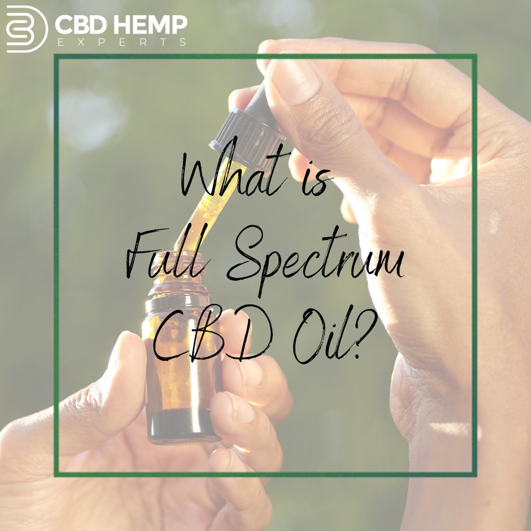 cbdhempexperts's tweet photo. What is Full Spectrum CBD Oil?
Full Spectrum CBD Oil is CBD oil that is extracted from the hemp plant with all of the other compounds present in the plant remaining.

#CBD #WholesaleCBD #CBDHE #JAGAlliance #CBDBusiness #Hemp #CBDManufacturer #CBDSupplier #FullSpectrum https://t.co/UNCY8YTlsI