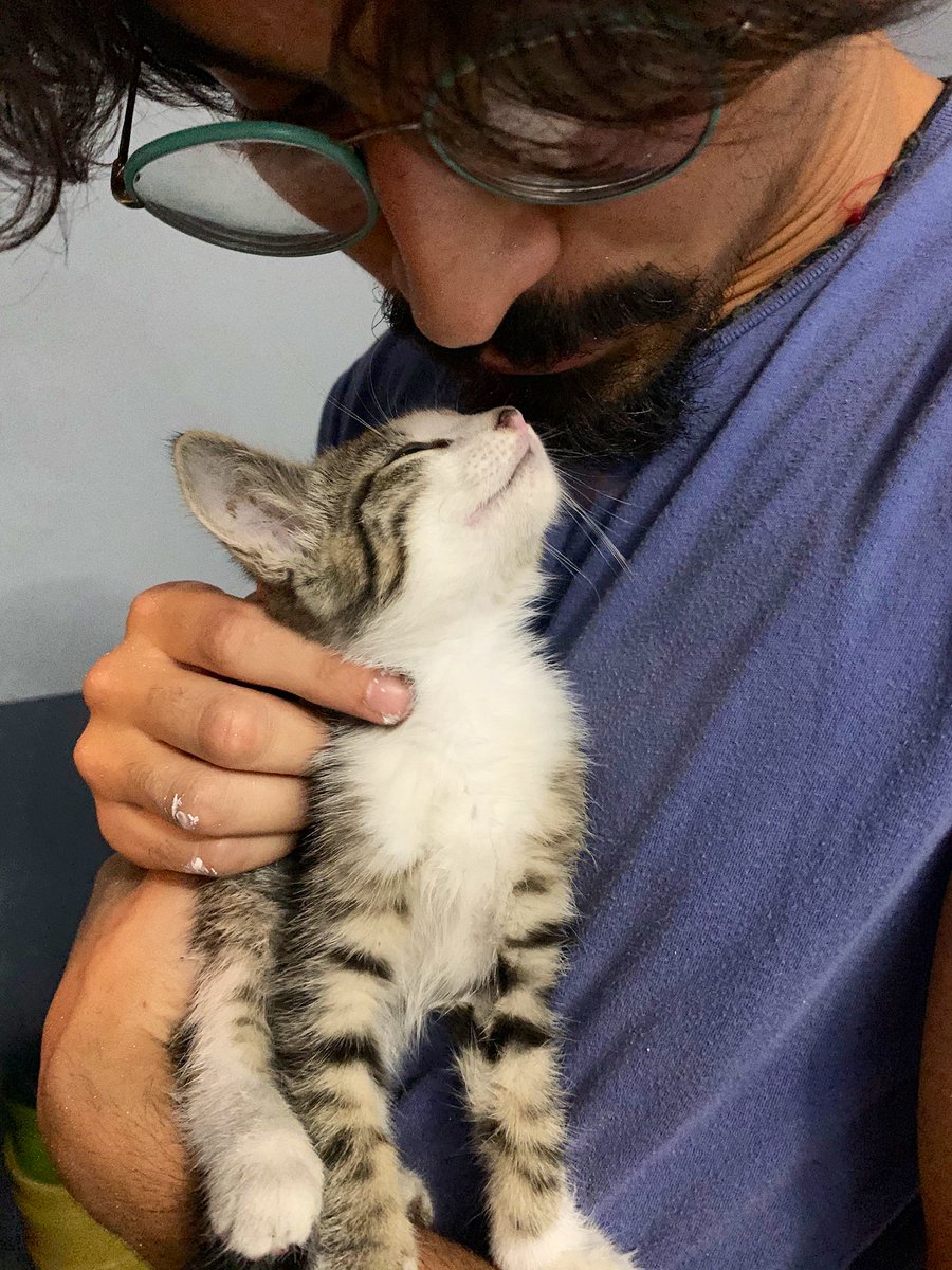 Free Palestine 🇨🇺 tweet media