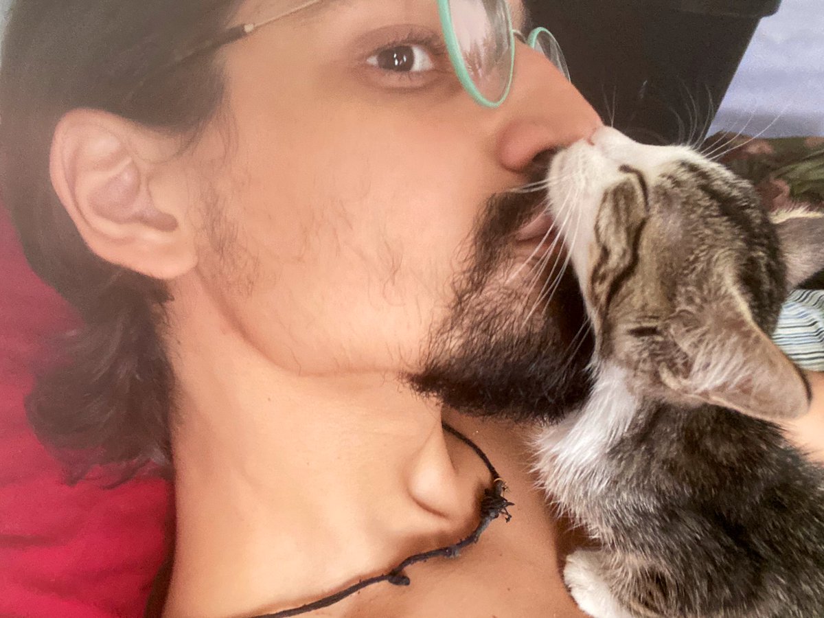 Free Palestine 🇨🇺 tweet media