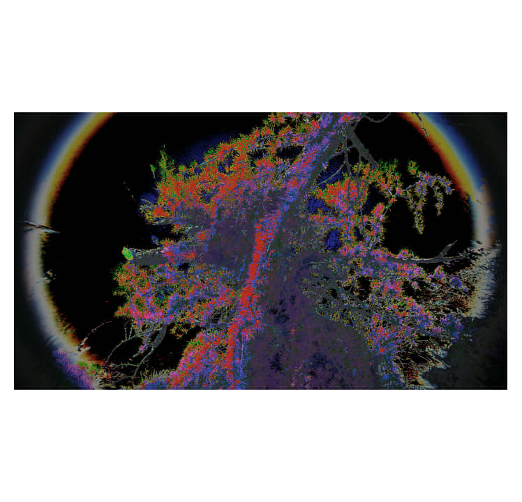 From series "Ethereal Silesia"

2018

#photography #art #NFTartist #contemporaryphotography #abstractart #artphotography #Ukrainian #psychedelicart #NaturePhotography #contemporaryart #Ukraine 
#artistsontwitter #abstractphotography