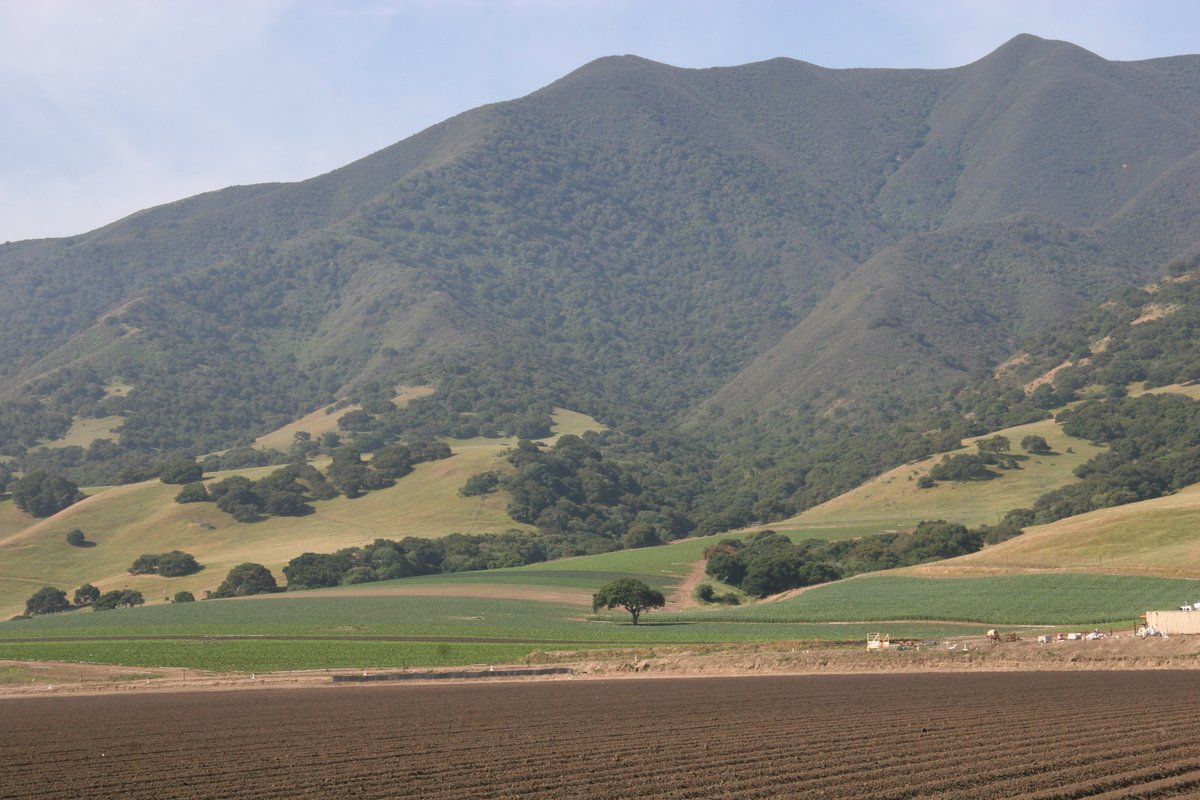 pim4u_'s tweet photo. Our Story on Geographic Diversity

Growing Regions:
📍 CA
📍 AZ
📍 NTHN Mex

We can offer a steady supply of products year-round, but also be more sustainable:
🌱 Reduces pest/disease issues
🌱 Supplements soil nutrients
🌱 Improves soil structure 
🌱 Grows with Mother Nature https://t.co/ftRPWhTV8V