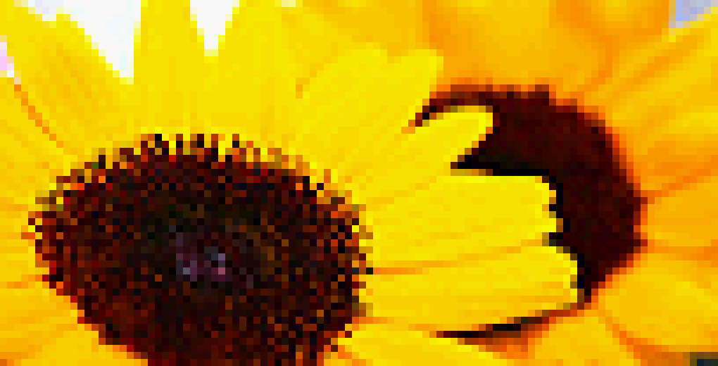 OldPhonePreserv's tweet photo. A few wallpapers from the #UTStarcom CDM-105. 
This phone had no ROM dump until today! https://t.co/Epjc2oKOFZ