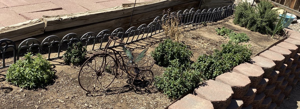 musiclis214's tweet photo. Happy National Gardening Day! https://t.co/fKcVqveESN