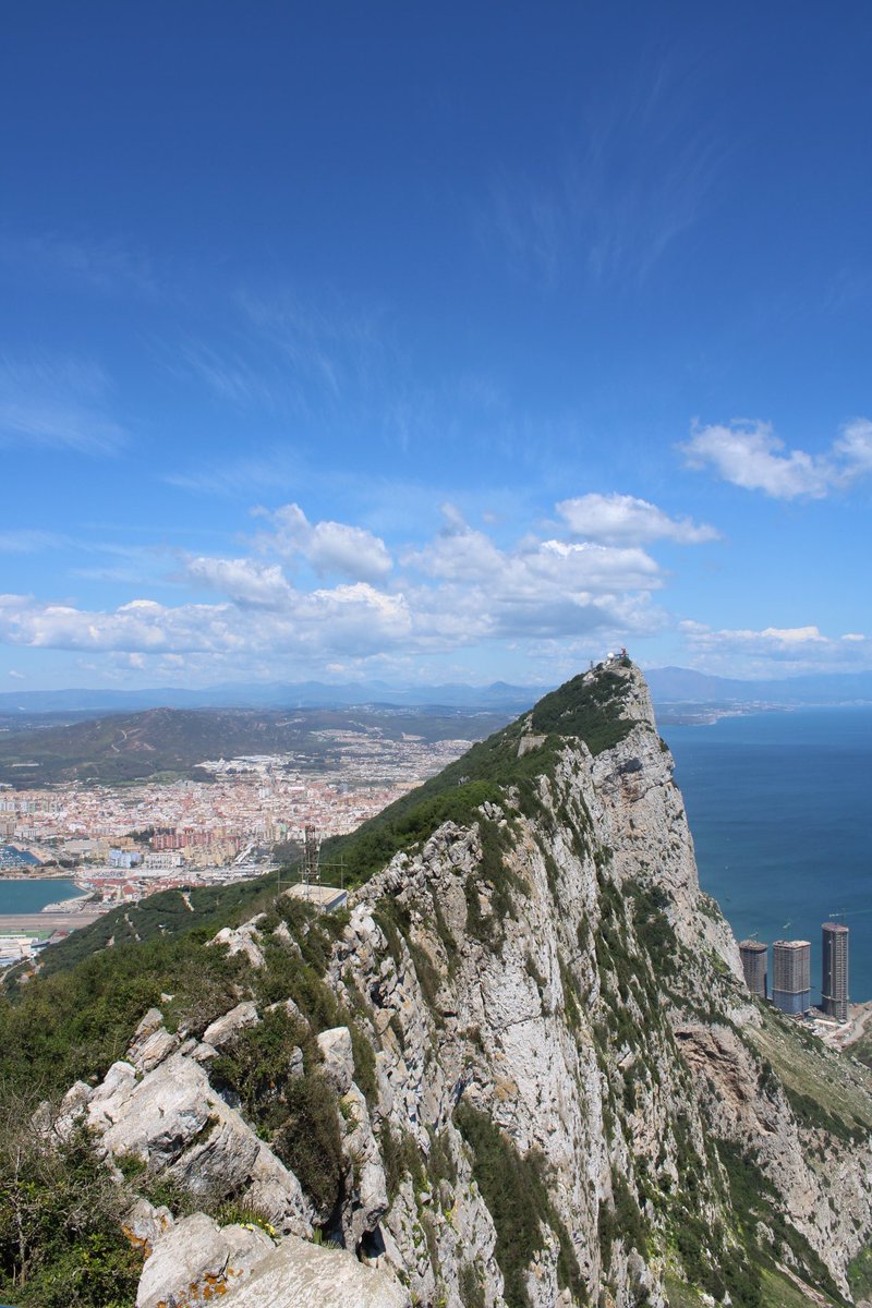 NFT.Adventures.2022 tweet media