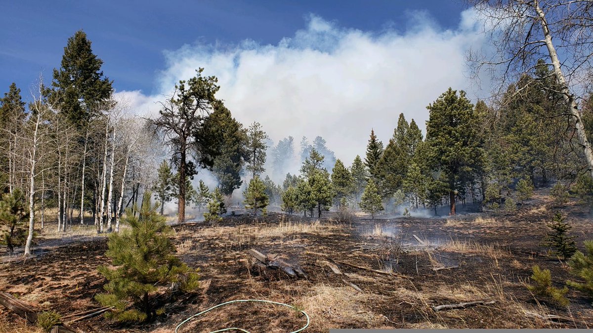 Update! 
Individuals north and east of 516 Mills Ranch Road should be prepared to evacuate. 
Fire is on scene now, very windy. Cause of fire is still unknown. About 3-5 acres currently. Mills Ranch Road in Woodland Park, we'll provide more information as it comes in, thanks.