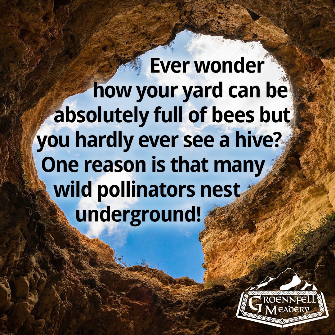 Bumblebees often nest in abandoned rodent holes, which is just one more amazing fact that should help you see your yard as a whole ecosystem rather than just a patch of green!

#ThursdayFunFact