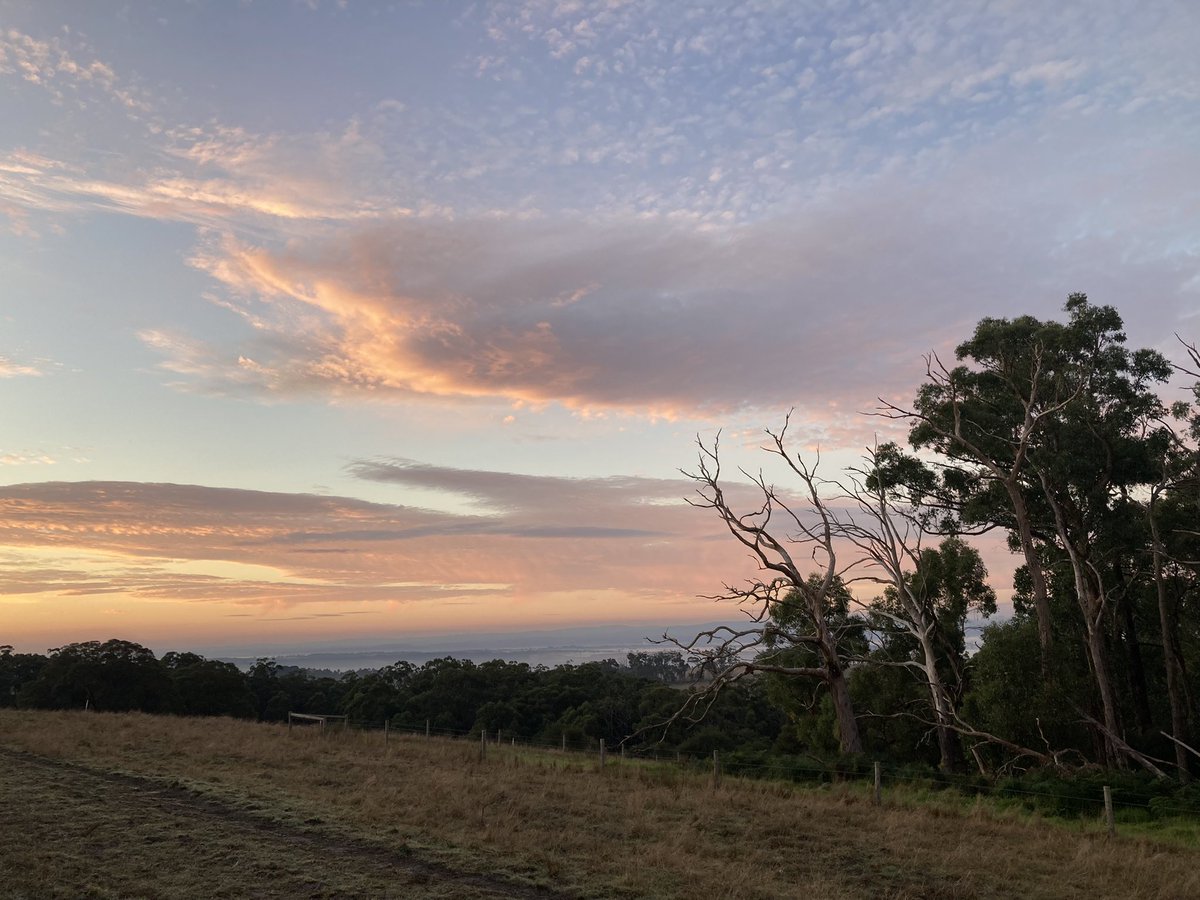 YallournNorth's tweet photo. A new day dawns. If you’re on the road, please drive safely and courteously. Your family wants you home safe and sound. Have a good Good Friday, and remember #ThisIsYallournNorth https://t.co/SrDFFLI7TC