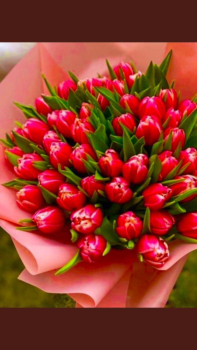 Toy598's tweet photo. 🧡🌷👑🫶🏼♥️🦋✨🍀🍎🪁🌟🧿👩🏻‍🦰#ElcinSangu https://t.co/xYforpEhnO