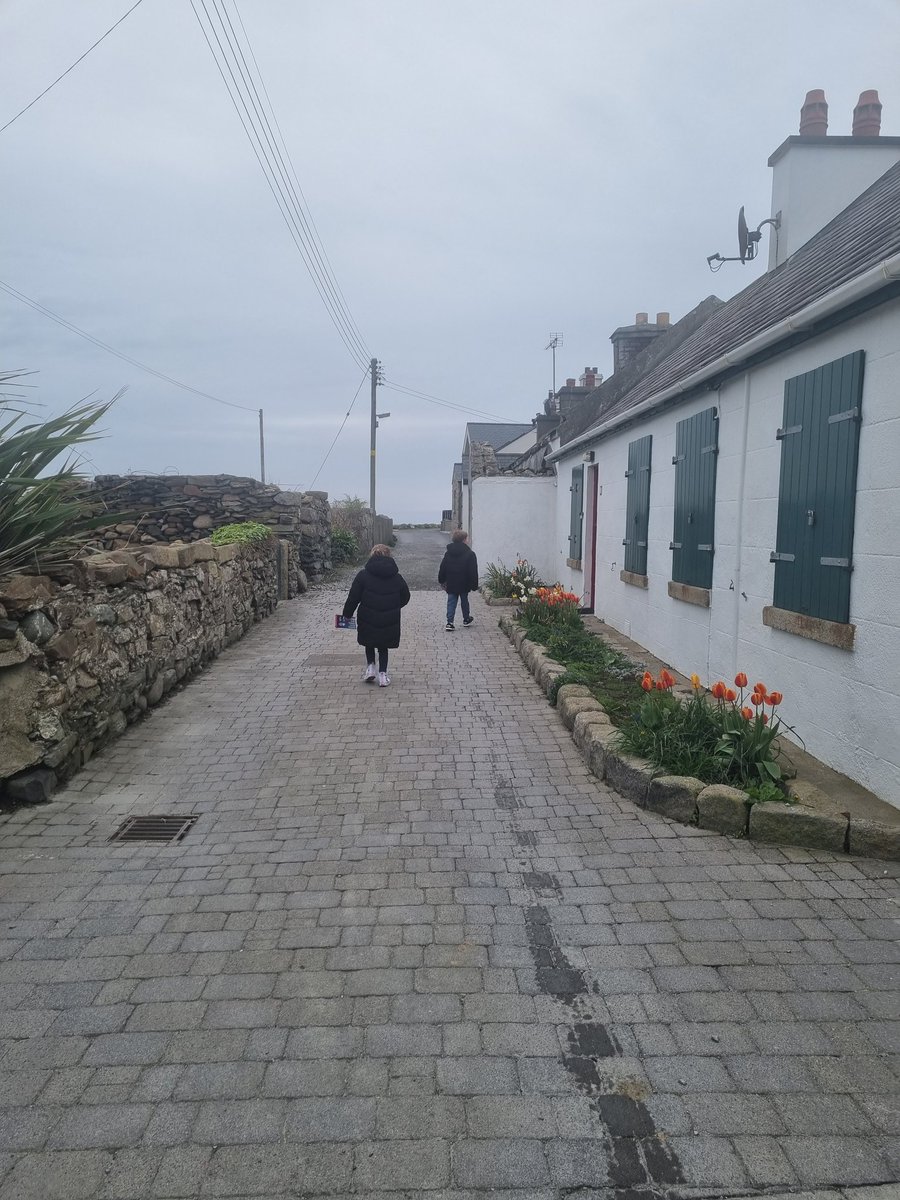 zcelliott_'s tweet photo. Such a fab afternoon canvassing in Annalong for our @JillMacauley 😍

Topped off with great food and excellent company. The @YoungUnionist are getting younger, our average age was about 7 😂 @mrsjcj976 

#MacauleyForSouthDown #VoteMacauley1 #VoteAuntieJill https://t.co/yPzw70pSBV
