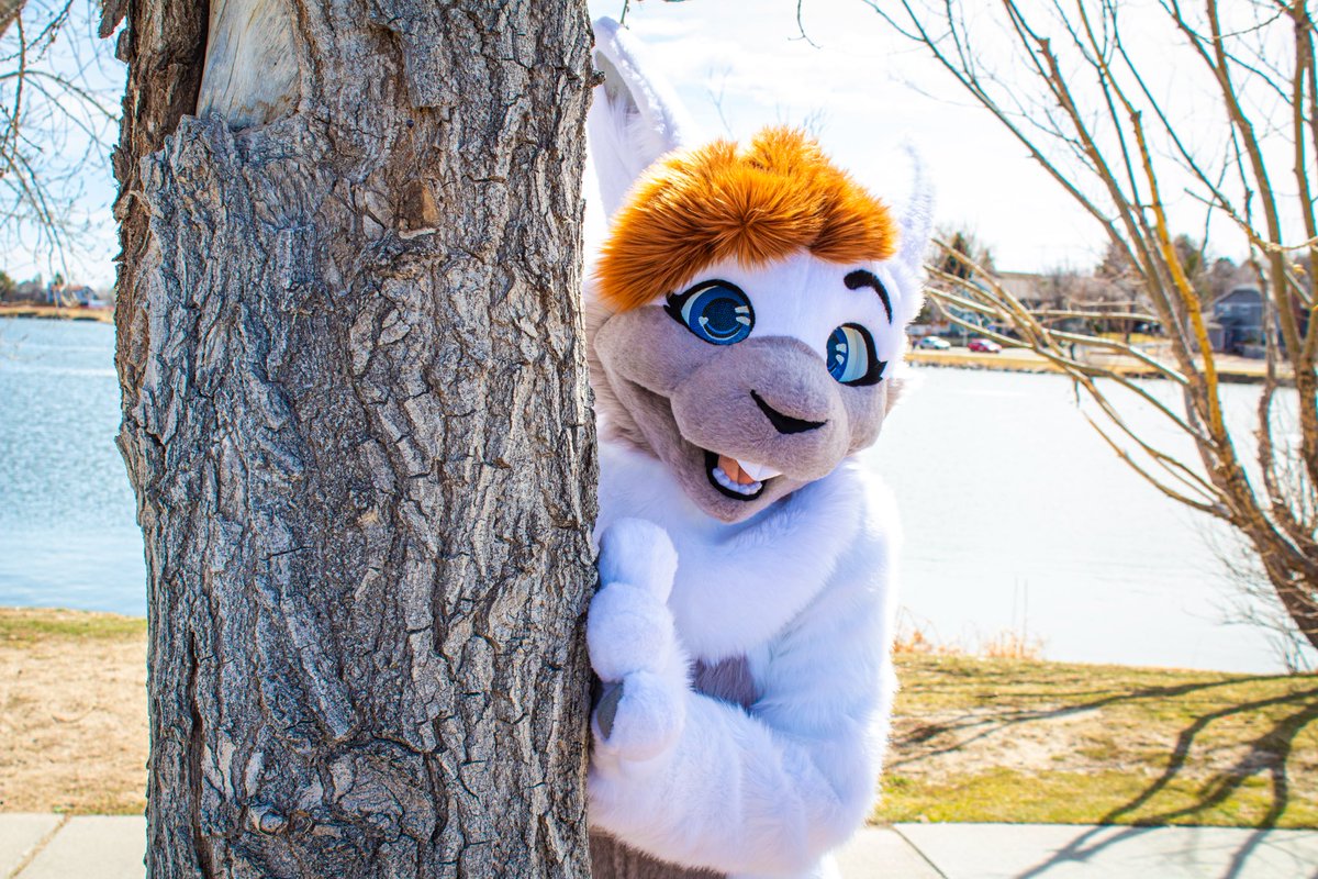 Furever_Studios's tweet photo. Showing off @MangoMother 🐰 extremely sorry for the long wait to see another fullsuit but here one is! I enjoyed making this suit so much and finalizing my digi pattern! Expect to see more of her soon! https://t.co/eIDAZS86ZS