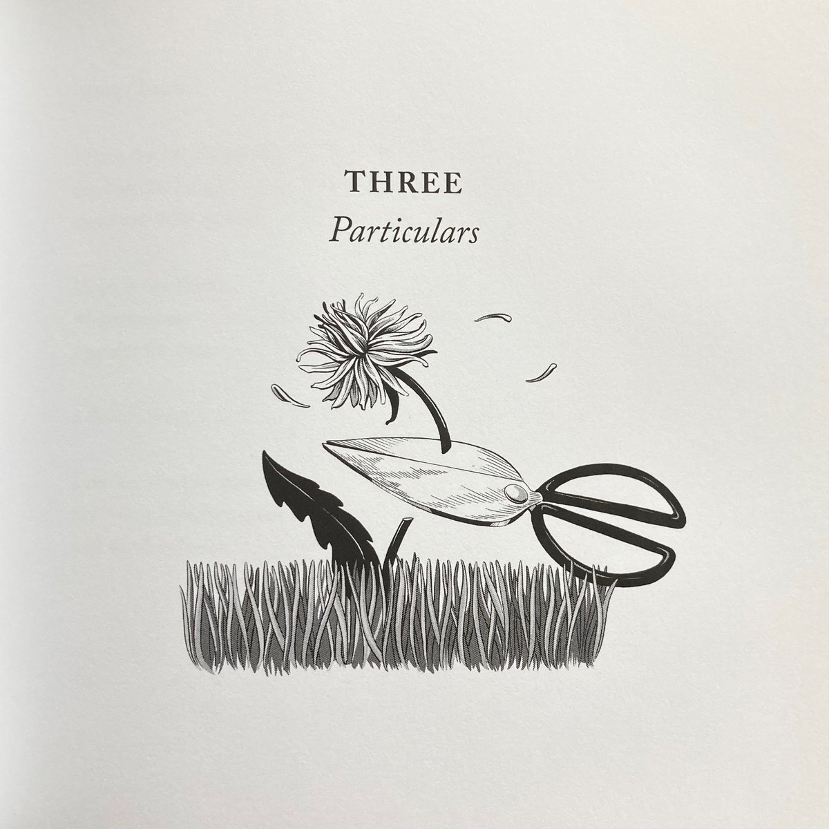 Just got my limited edition HB of this book of poetry by @marisasaystweet (published by <a href="/BurrowPress/">Burrow Press</a>) and it’s so beautiful 💞🌸 no. 110 of 300

🎨 illustrations by <a href="/tmprevite/">Trisha Previte</a>