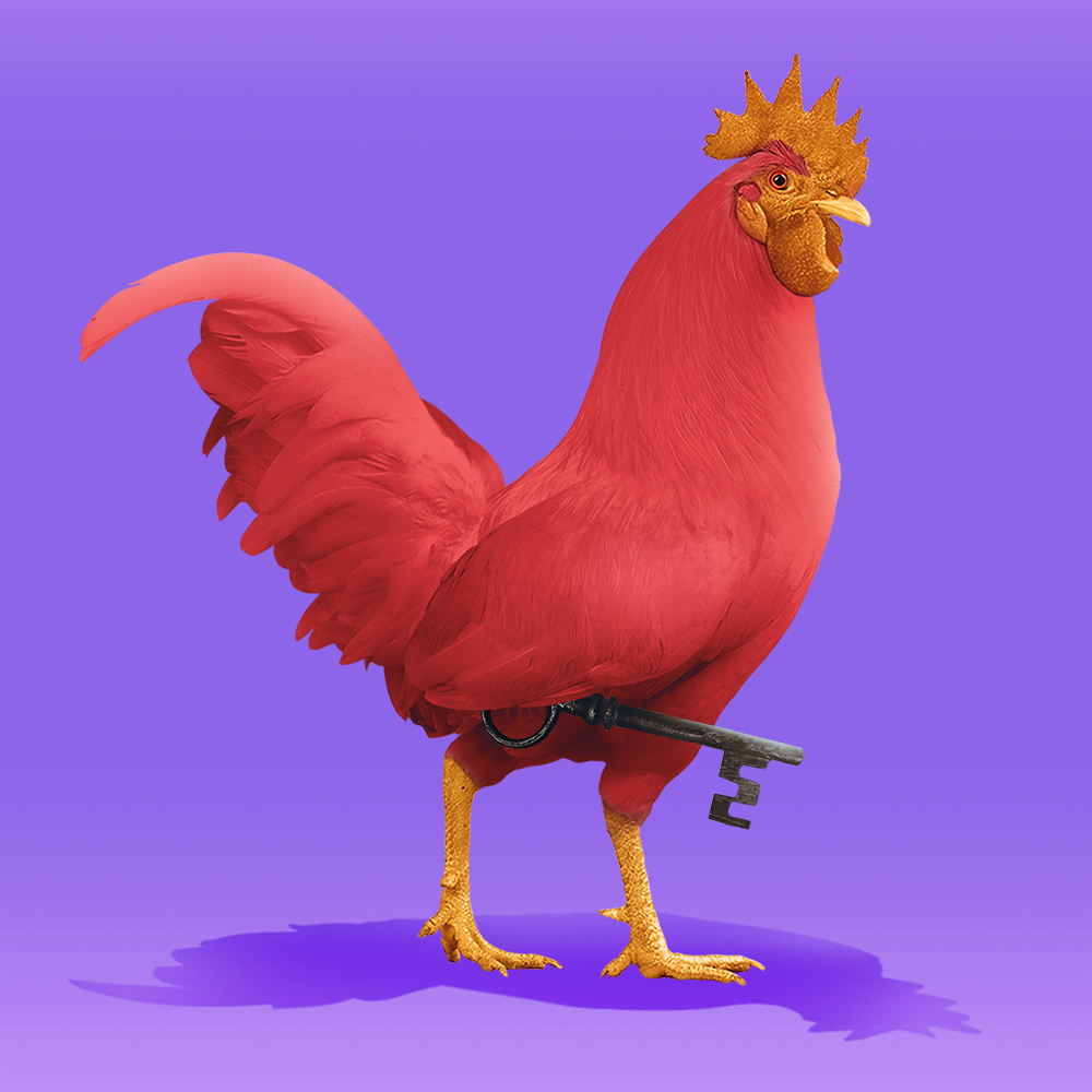 Chikn 🔺 tweet media