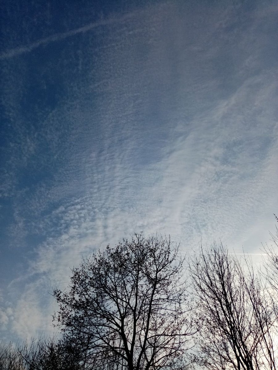 karpfensteiner's tweet photo. Oberlausitz 14.04.2022, Regen ab 20:15 Uhr https://t.co/dpFW0GxZeT