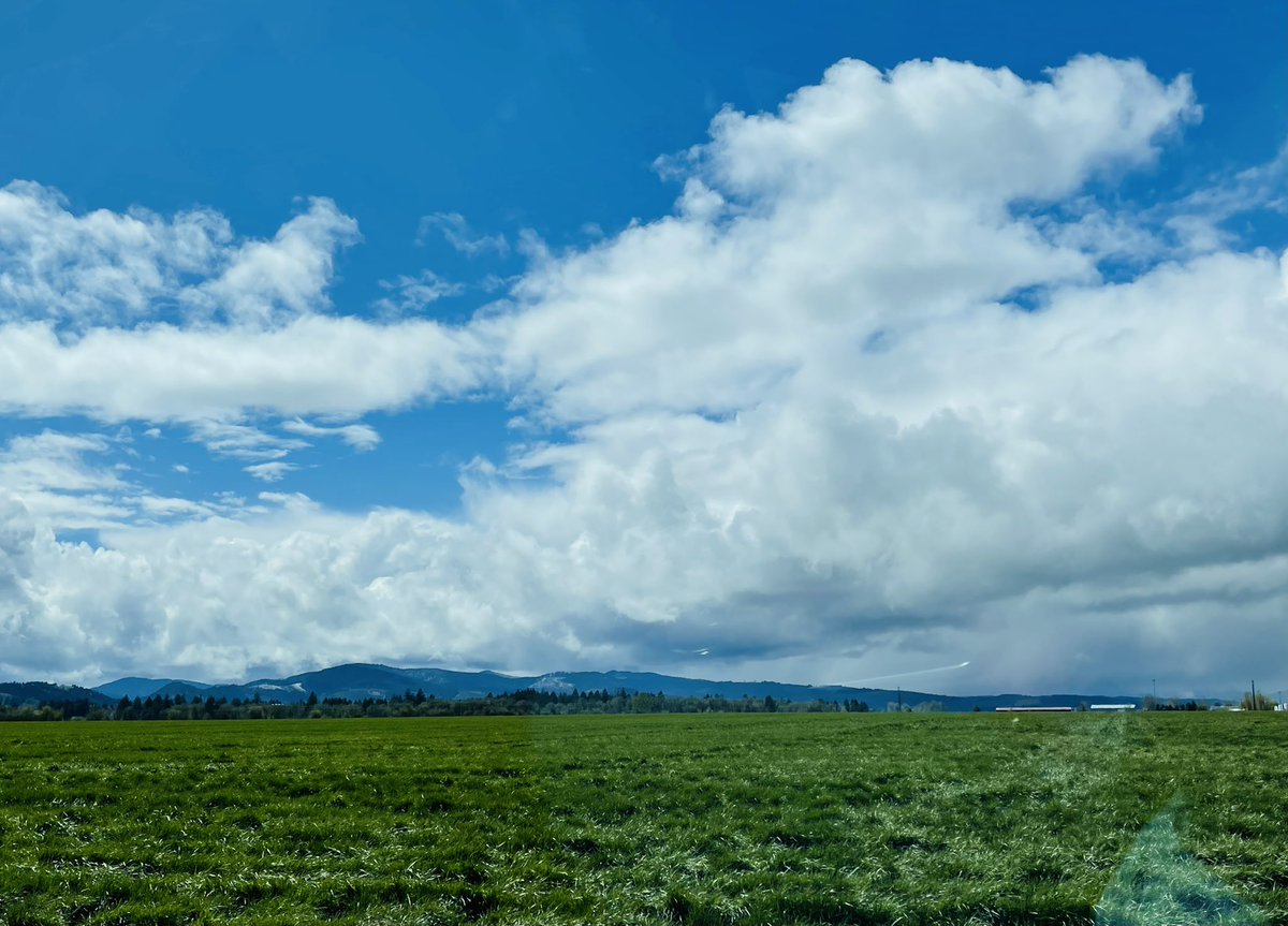 Dr. Abbey Wick tweet media