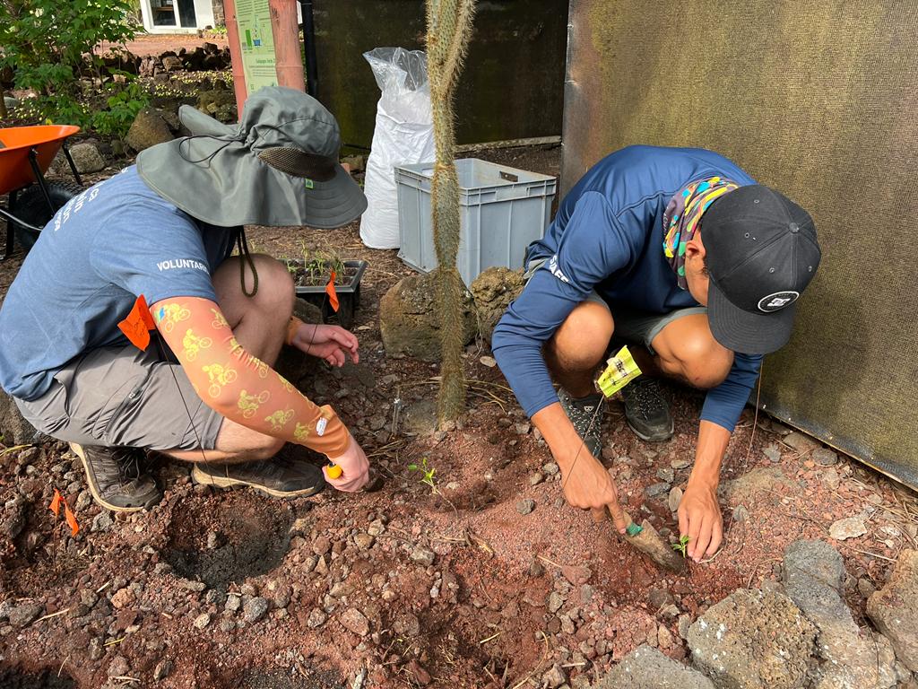 Charles Darwin Foundation-Fundación Charles Darwin tweet media