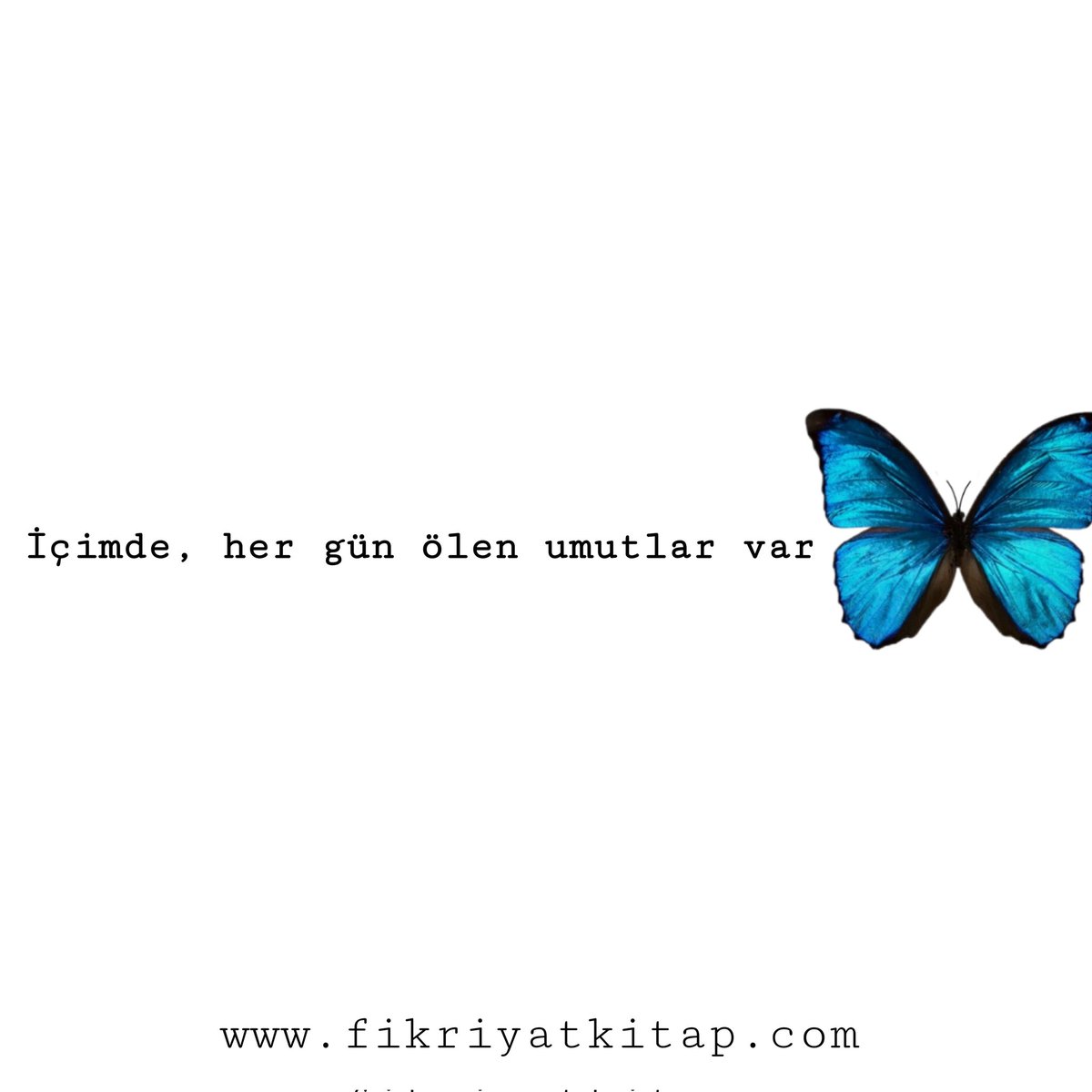 M_Salihh's tweet photo. https://t.co/UWqltTMtOs📌
#fikriyatkitap
#kitap #kitaplar #book #books #goodbooks #instakitap #instabook #bookstagram #aşk #roman #sevgi #sevgili #şiir #şair #yazar #çay #kahve #edebiyat #fikriyatkitap #fikriyatkitapcom #umut https://t.co/YEurHRJOZw