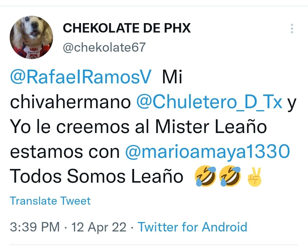 elizabethcme's tweet photo. @RafaeIRamosV los #engañados #viudos de #leaño ( @marioamaya1330 @chekolate67 @Chuletero_D_Tx @nickjim07 @Eli_Pato ) https://t.co/L5QWPoGntV