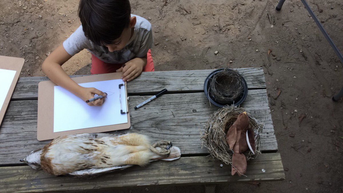 WSPEcoProjects's tweet photo. A week from today, the #ExploreBirds program will participate in Earth Day 2022 at Union Square. https://t.co/4xl5kf9T7D