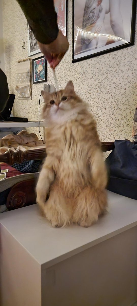 Jane @ home indefinitely tweet media