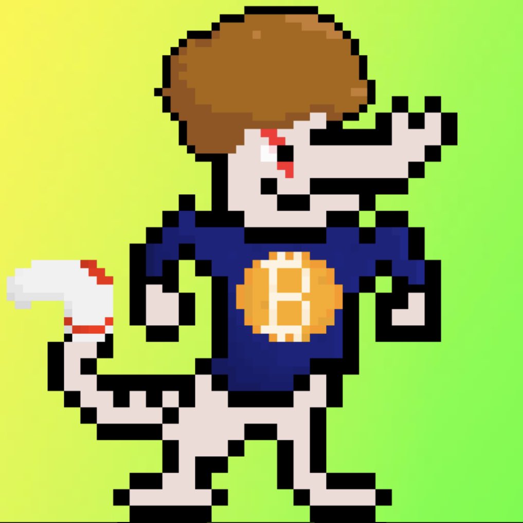 DitTeddy's tweet photo. big gwei energy @GweiGators https://t.co/4EsKuKMNGp