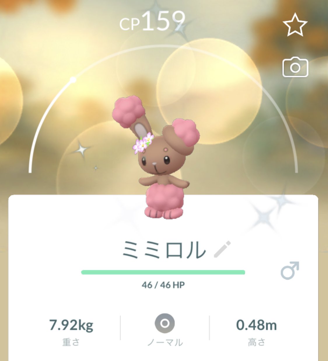 ミミロル色違い Twitter Search Twitter